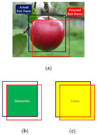 Rare and sometimes even weird tropical fruits, with unusual and unique shapes and flavors. Agronomy Free Full Text Using Yolov3 Algorithm With Pre And Post Processing For Apple Detection In Fruit Harvesting Robot Html