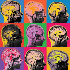 Neuroscience In Pictures The Best Images Of The Year Neuroscience Art Anatomy Art Brain Art
