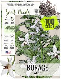 Image result for Borago officinalis