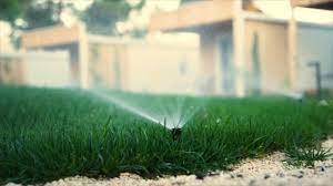 Often, summer rains are too light to add any real benefit. How To Water Your Grass For A Healthy Lawn Southern Living