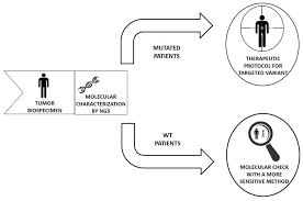 Comparative Study of NGS Platform Ion Torrent Personal Genome Machine and  Therascreen Rotor-Gene Q for the Detection of Somatic Variants in Cancer