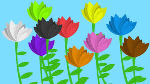 A different kind of pigment class is made up of the carotenoids. The Flower Song Lullaby For Learning Colors Children S Educational Song Youtube