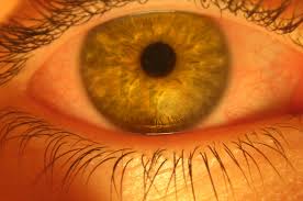 How to get rid of red eyes from weed with artificial tears. How To Hide Your High Potguide Com