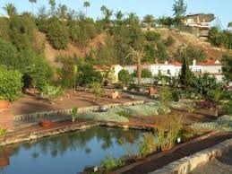 Der botanische garten der universität wien haupteingang: Botanischer Garten Maspalomas In Maspalomas Holidaycheck