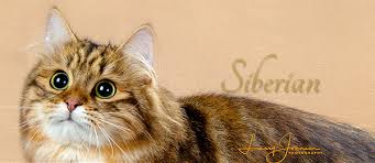 We do not charge breeders for exposure on our site, so this is a complete list. Siberian The Cat Fanciers Association Inc