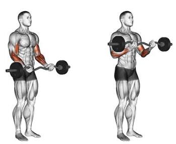 Partial and full ranges in a curl, AI generated