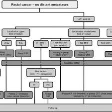 The third most commonly occurring form of cancer in the world, it usually begins with small anemia produces another range of symptoms, including weakness and general malaise. Pdf Esmo Consensus Guidelines For Management Of Patients With Colon And Rectal Cancer A Personalized Approach To Clinical Decision Making