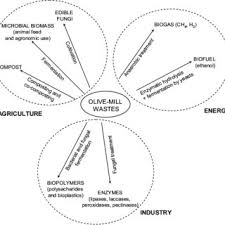 Pdf Bioremediation And Biovalorisation Of Olive Mill Wastes