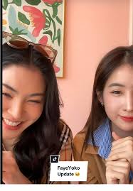 Faye The Gay Controversy