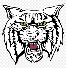 Now draw the body by drawing a straight. Wildcat Drawing Clipart Best Redlands East Valley Wildcats Free Transparent Png Clipart Images Download