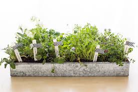 Check spelling or type a new query. How To Make A Portable Perennial Garden Perennial Garden Portable Garden Hydroponic Gardening