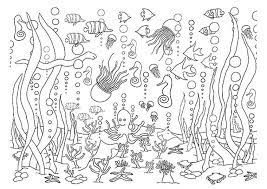 Download and print these underwater coloring pages for free. 5 Underwater Coloring Pages Ocean Coloring Pages Mermaid Coloring Pages Dolphin Coloring Pages