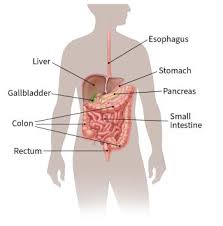 Lumps that come and go are not usually due to cancer. What To Do If You Have Esophagus Cancer
