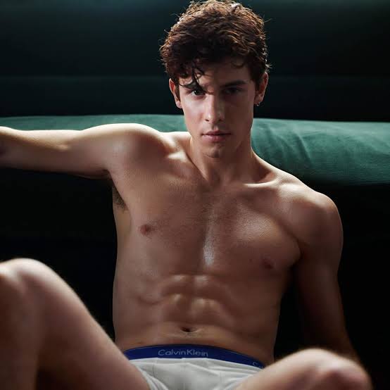 Chapter 8: Shawn Mendes' by MC101 - Gay Spiral Stories