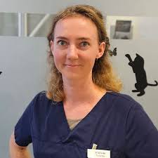 Unser Team stellt sich vor