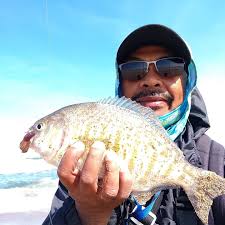 California Surf Fishing (CSF)