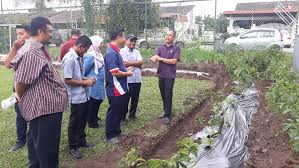 (1) melaksanakan aktiviti bersama keluarga mampu mengeratkan ikatan kekeluargaan dan mampu mewujudkan suasana kehidupan yang harmoni. Bercucuk Tanam In English 38 Mari Bercucuk Tanam Contextual Translation Of Bercocok Tanam Into English Hogoruyo