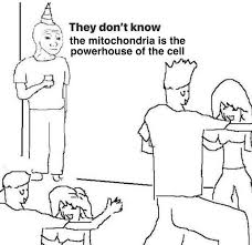 They Don T Know Meme On Twitter In 2020