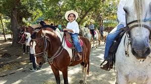 Join facebook to connect with camilo giordano and others you may know. Rancho Santana Nicaragua On Instagram At 6 Years Old Juan Camilo Son Of Alan Vilchez Rode Paint Horse Paloma At The Bu Horse Painting Horses Usa Pictures