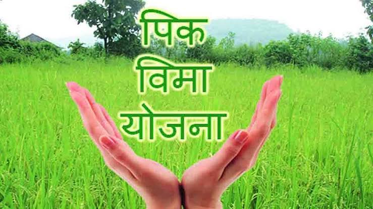पिक विमा योजनेला उरले फक्त दोन दिवस; ३१ जुलैपर्यंत नोंदणी करण्याचे कृषी विभागाचे आवाहन