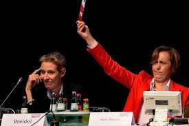 Alice elisabeth weidel (* 1979) ist eine deutsche politikerin und unternehmensberaterin. Alice Weidel Ç€ Shizophrene Intoleranz Der Freitag
