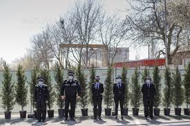 Polițiștii sunt de acord, astfel că o lasă pe femeie să. Inquam Photos Politia Locala