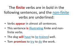 To forgive is a noble act. Finite And Non Finite Verbs Ppt Download