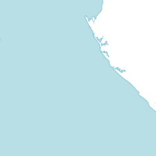 Image result for Acanthus mayaccanus