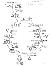 Click the button below to get instant access to these worksheets for use in the classroom or at a home. Water Cycle For Kids Coloring Page Coloring Home