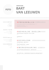 Boekhouder Cv Voorbeeld Download Gratis Perfectcv Nl