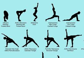 68 Vector Yoga Poses Each With Its English And Sanskrit Names Etsy Poses De Ioga Yoga Posicoes Exercicios De Yoga