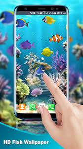 Mar 30, 2021 · the 4d live wallpaper app offers a huge selection of amoled 4d backgrounds, hd, and animated live wallpapers complete with 3d, depth effects, and video. Download Aquarium Fish Live Wallpaper Fish Backgrounds Hd Free For Android Aquarium Fish Live Wallpaper Fish Backgrounds Hd Apk Download Steprimo Com