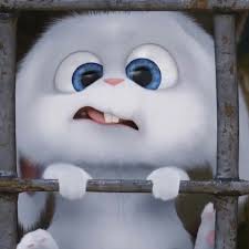 Pin Oleh Phong Quan Di Cute Di 2020 Hewan Lucu Gambar Hewan Ilustrasi Karakter