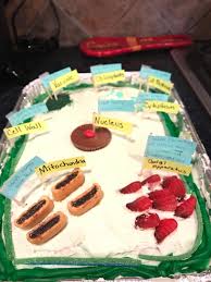 How to build an edible cell? Edible Plant Cell By Haley Edible Cell Project Edible Cell Cells Project