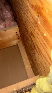 Any help would be appreciated. I want to utilize the space over my garage.  There is an lvl beam in the middle. The ceiling joists are 2 x 8 with a 12'