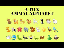 The elements in the periodic table are substances that are made of only one atom. Video Alphabets With Animals