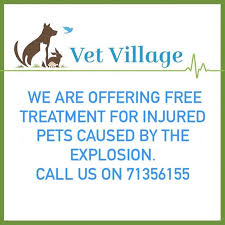 When was village pet hospital in bella vista built? Vet Village Home Facebook
