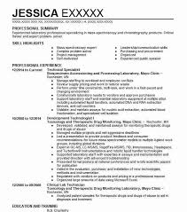 technical specialist resume example