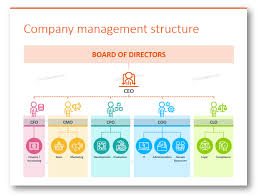 Presenting Company Roles Structures With Modern Outline