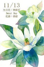 每日一花11 1 haru hello watercolor paintings for beginners floral watercolor watercolor flowers