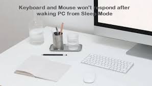 Now restart your computer and plug in your device (mouse/keyboard). Keyboard And Mouse Won T Respond After Waking Pc From Sleep Mode