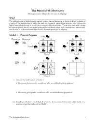 The horizontal axis shows the two allele frequencies p and q and the vertical axis shows the expected genotype hardy and weinberg independently worked on finding a mathematical equation to explain the link between genetic equilibrium and evolution in a. The Hardy Weinberg Equation Pogil Answers 2 6 Pogil Activities For Ap Biology 22 Onelocobunch