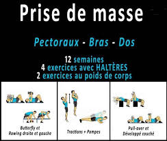 Prise De Masse Programme Musculation Volume Puissance Prise De Masse Musculaire Exercice Avec Haltere Programme Musculation