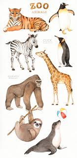Zoo Animals Watercolor Clipart Nursery Prints Zoo Animals Etsy In 2020 Zoo Animals Nursery Zoo Animals Animal Nursery Art