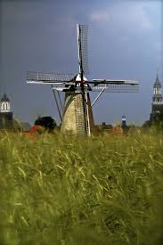 Holland Fields Moulin A Vent Hollande Pays Bas