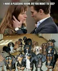 Jackpot Funny Dachshund Dachshund Love Dachshund Memes