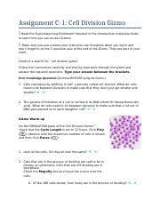 The length of the cell cycle can be controlled, and data related to the number of cells present and their current phase can be recorded. C 1 1 Assignment Cell Division Gizmo 1 Docx Assignment C 1 Cell Division Gizmo Read The Explorelearning Enrollment Handout In The Introduction Course Hero