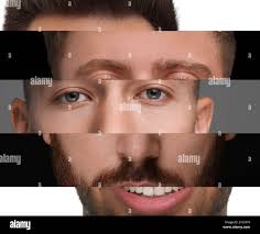 Combined parts hi-res stock photography and images