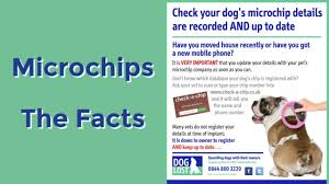 In addition, petkey's universal dog & cat chip id registry will permanently register all of your animal's id's including. Microchips The Facts Youtube
