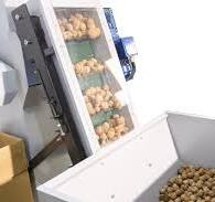 Machine for sorting empty walnut in shell - Nuttechnology